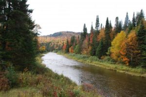 upper CT river